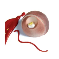 Outlet PAVOFLEX Moule Silicone Éclipse Ø 7,2 cm x H 4,1 cm (x24)