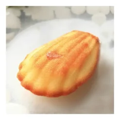 Best PAVOFLEX Moule Silicone Madeleine 7,8 x 4,5 cm x H 1,8 cm (x44)