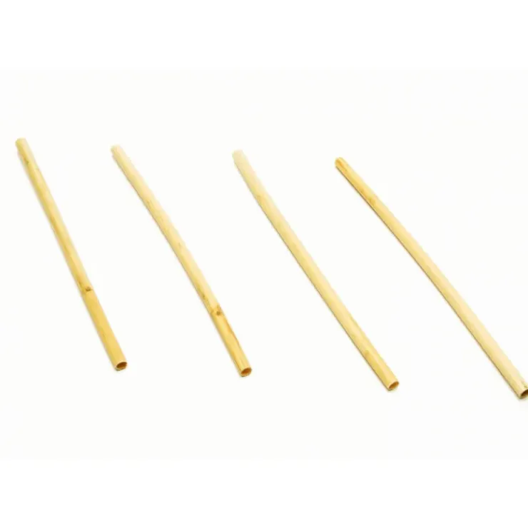 LEBRUN Paille Réutilisable en Roseau 20cm x20