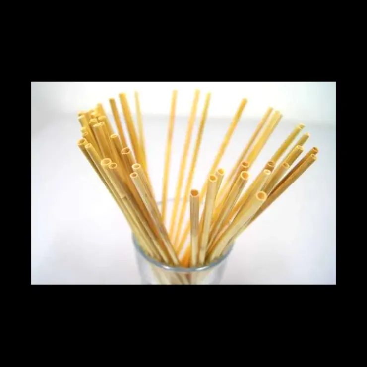 LEBRUN Paille Réutilisable en Roseau 20cm x20