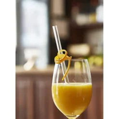 CUISINEADDICT Paille Réutilisable en Verre 20cm droite x4 HALM