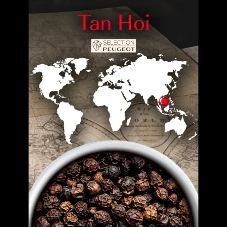 Discount PEUGEOT Poivre Noir du Vietnam Tan Hoi Sachet 20 g (x7)
