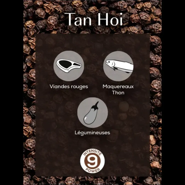 Discount PEUGEOT Poivre Noir du Vietnam Tan Hoi Sachet 20 g (x7)