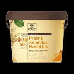 Best BARRY Praliné Favorites amandes-noisettes 5 kg