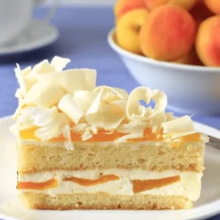 PATISDECOR Préparation Bavarois Abricot 100 g Patisdécor