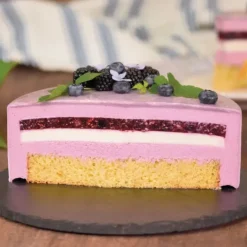 Discount PATISDECOR Préparation Bavarois Gel Fruits des Bois 100 g Patisdécor