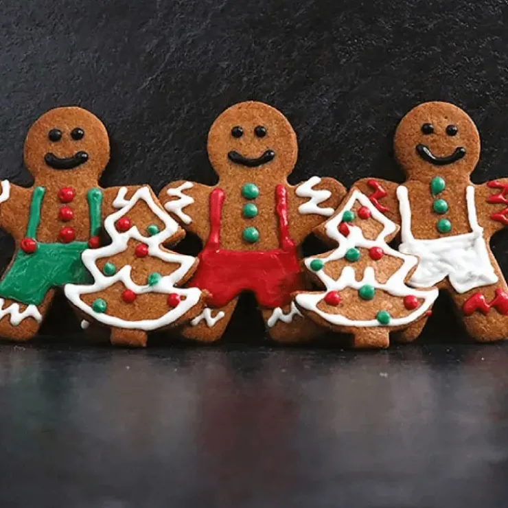 Best PATISDECOR Préparation Biscuit Pain d'Epices 250 g Patisdécor