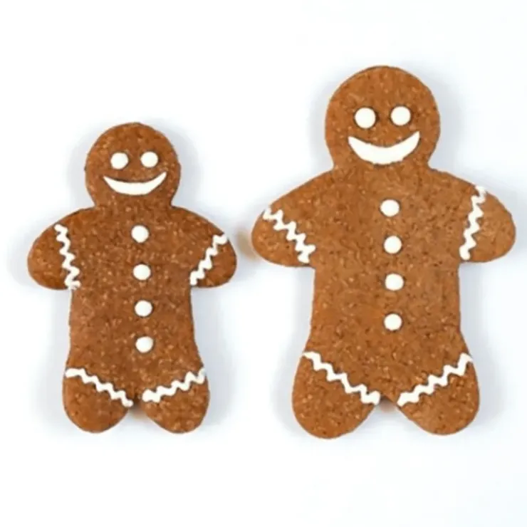 Best PATISDECOR Préparation Biscuit Pain d'Epices 250 g Patisdécor