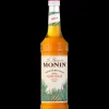 Best MONIN Sirop Agave 70 cl