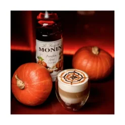 Online MONIN Sirop Citrouille Epicée 25 cl