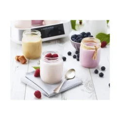 Clearance LAGRANGE Yaourtière 9 pots 16 W